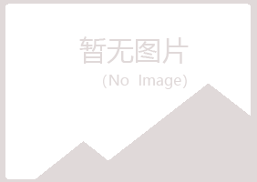 达川冰夏化学有限公司